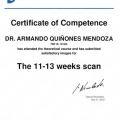 Ampliar imagen: certificate 38