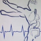 Dr. Seiji Broca Coronel