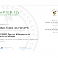 Ampliar imagen: certificate 9