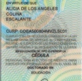 Ampliar imagen: certificate 2