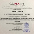 Ampliar imagen: certificate 5