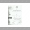 Ampliar imagen: certificate 4