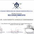 Ampliar imagen: certificate 8