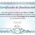 Ampliar imagen: certificate 8