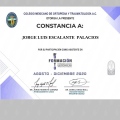 Ampliar imagen: certificate 4