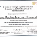 Ampliar imagen: certificate 1