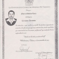 Ampliar imagen: certificate 5