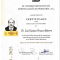 Ampliar imagen: certificate 7