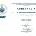 Ampliar imagen: certificate 45