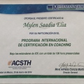 Ampliar imagen: certificate 5