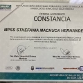 Ampliar imagen: certificate 1