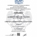 Ampliar imagen: certificate 6