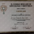 Ampliar imagen: certificate 8