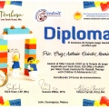 Ampliar imagen: certificate 4