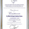 Ampliar imagen: certificate 3