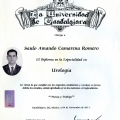 Ampliar imagen: certificate 4