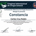 Ampliar imagen: certificate 32
