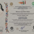 Ampliar imagen: certificate 36