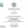 Ampliar imagen: certificate 11