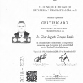 Ampliar imagen: certificate 2