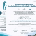 Ampliar imagen: certificate 6