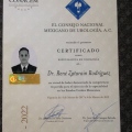 Ampliar imagen: certificate 1