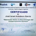 Ampliar imagen: certificate 9