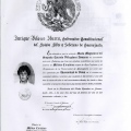 Ampliar imagen: certificate 28