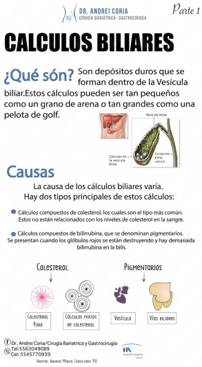 José Andrei Coria Hernández-1