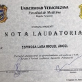 Ampliar imagen: certificate 11