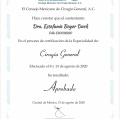 Ampliar imagen: certificate 3