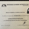 Ampliar imagen: certificate 7