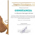 Ampliar imagen: certificate 5