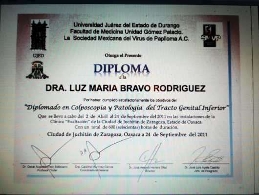 Luz Maria Bravo Rodriguez-12