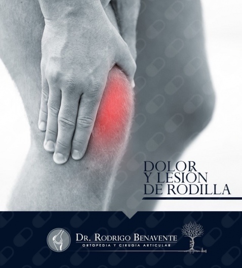 Rodrigo Alfonso Benavente Fuentes-7