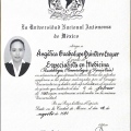 Ampliar imagen: certificate 4