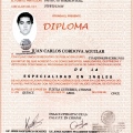 Ampliar imagen: certificate 13