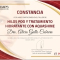 Ampliar imagen: certificate 6