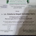 Ampliar imagen: certificate 6