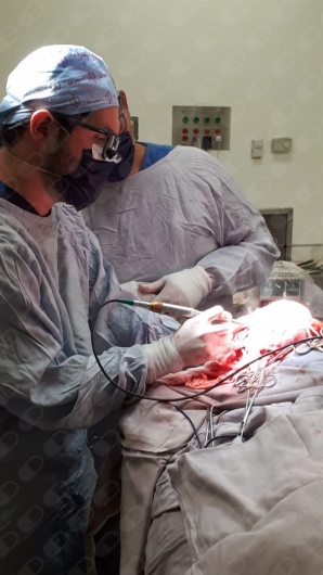 Ricardo David Guillén De La Colina-1