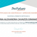 Ampliar imagen: certificate 5