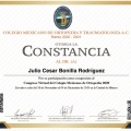 Ampliar imagen: certificate 28