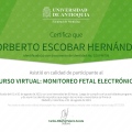 Ampliar imagen: certificate 13