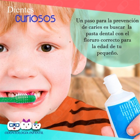 Mariana Beltrán González-4