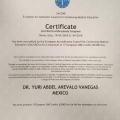 Ampliar imagen: certificate 1