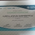 Ampliar imagen: certificate 7