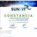 Ampliar imagen: certificate 6