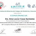 Ampliar imagen: certificate 9