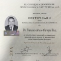 Ampliar imagen: certificate 8