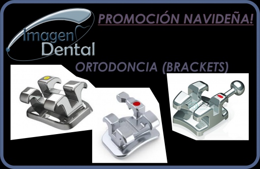 Leonel Palma Carlos-29